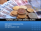 Thuyết trình: Tương lai của đồng Euro