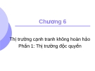 Bài giảng Kinh tế học - Chương 6: Thị trường độc quyền