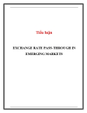 Tiểu luận: Exchange rate pass - through in emerging markets