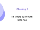 Bài giảng Kinh tế học - Chương 5: Thị trường cạnh tranh hoàn hảo