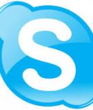 Hướng dẫn cài đặt và sử dụng Skype 5.1