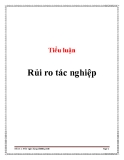 Tiểu luận: Rủi ro tác nghiệp