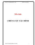 Tiểu luận: Chiến lược tài chính