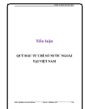 Tiểu luận: Quỹ đầu tư chỉ số tại Việt Nam