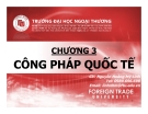 Bài giảng Pháp luật đại cương: Chương 3 - GV. Nguyễn Hoàng Mỹ Linh