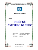 Tiểu luận: Thiết kế cấu trúc tổ chức