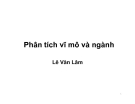 Bài giảng Phân tích vĩ mô và ngành - Lê Văn Lâm