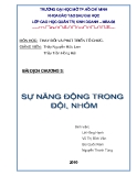 Tiểu luận: Sự năng động trong đội, nhóm