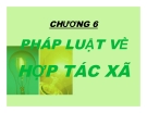 Bài giảng Luật kinh tế: Chương 6 - Ths. Nguyễn Ngọc Duy Mỹ