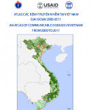 Atlat các bệnh truyền nhiễm tại Việt Nam giai đoạn 2000-2011: Phần 2