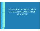 Chuyên đề 4: Cải cách doanh nghiệp nhà nước - TS. Trần Du Lịch