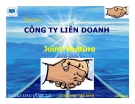 Tiểu luận: Công ty liên doanh