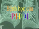 Bài giảng Bệnh học của phổi