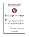 Khóa luận tốt nghiệp: Thực trạng và giải pháp phát triển thị trường bất động sản ở Việt Nam