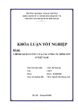 Khóa luận tốt nghiệp: Chính sách cổ tức của các công ty niêm yết trên thị trường chứng khoán Việt Nam