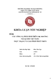 Khóa luận tốt nghiệp: Các công cụ phái sinh trên thị trường ngoại hối Việt Nam: Thực trạng và giải pháp phát triển