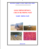 Giáo trình Chuẩn bị trồng ngô: Phần 2 - Trần Văn Dư (chủ biên)
