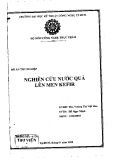 Đồ án tốt nghiệp: Nghiên cứu nước quả lên men Kefir