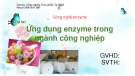 Bài thuyết trình Công nghệ enzym: Ứng dụng enzyme trong ngành công nghiệp