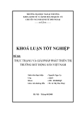 Khóa luận tốt nghiệp: Thực trạng và giải pháp phát triển thị trường bất động sản Việt Nam