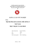 Khóa luận tốt nghiệp: Thị trường bán lẻ hàng tiêu dùng ở Việt Nam: thực trạng và giải pháp