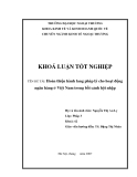 Khóa luận tốt nghiệp: Hoàn thiện hành lang pháp lý cho hoạt động ngân hàng ở Việt Nam trong bối cảnh hội nhập