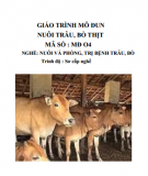 Giáo trình Nuôi trâu, bò thịt