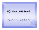 Bài giảng Nội nha lâm sàng - Nguyễn Quốc Toản