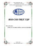 Báo cáo thực tập: Công ty cổ phần nông lâm sản Kim Bôi