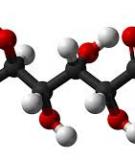 Báo cáo đề tài: Công nghệ lên men Gluconic acid