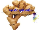 Bài giảng Thuốc giải biểu