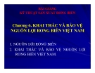 Bài giảng Kỹ thuật sản xuất rong biển: Chương 6