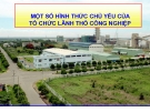 Bài giảng Một số hình thức chủ yếu của tổ chức lãnh thổ công nghiệp - ThS. Hoàng Việt Anh