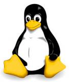 Linux là lựa chọn thay thế hoàn hảo Windows XP