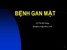 Bài giảng Bệnh gan mật - GV. Võ Thị Mỹ Dung