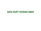 Bài giảng Sản xuất kháng sinh