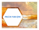 Bài giảng Phẩm nhuộm