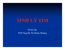 Bài giảng Sinh lý tim - PGS. Nguyễn Thị Đoàn Hương