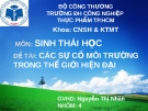 Bài thuyết trình: Các sự cố môi trường trong thế giới hiện đại