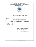 Tiểu luận Quản trị Tài chính: Phân tích tài chính công ty cổ phần cơ điện lạnh REE