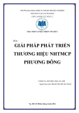 Tiểu luận: Giải pháp phát triển thương hiệu NHTMCP Phương Đông