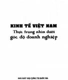 Kinh tế Việt Nam - Thực trạng nhìn dưới góc độ doanh nghiệp: Phần 1 - Đặng Đức Thành