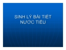 Bài giảng Sinh lý bài tiết nước tiểu