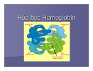 Bài giảng về Hóa học Hemoglobin