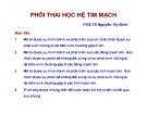 Bài giảng Phôi thai học hệ tim mạch - PGS.TS. Nguyễn Thị Bình