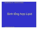 Bài giảng Hóa sinh: Sinh tổng hợp Lipid