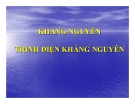 Bài giảng Kháng nguyên trình diện kháng nguyên