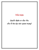 Tiểu luận: Quyết định cơ cấu vốn: yếu tố tin cậy nào quan trọng?