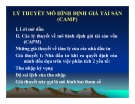 Bài giảng Lý thuyết mô hình định giá tài sản (CAMP)