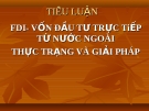 Tiểu luận: FDI - Vốn đầu tư trực tiếp từ nước ngoài thực trạng và giải pháp